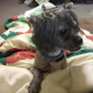 Meet your Posher, Patti